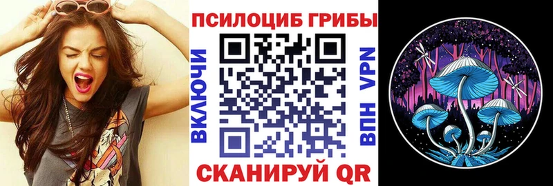 Псилоцибиновые грибы GOLDEN TEACHER  Купить  Ишимбай 